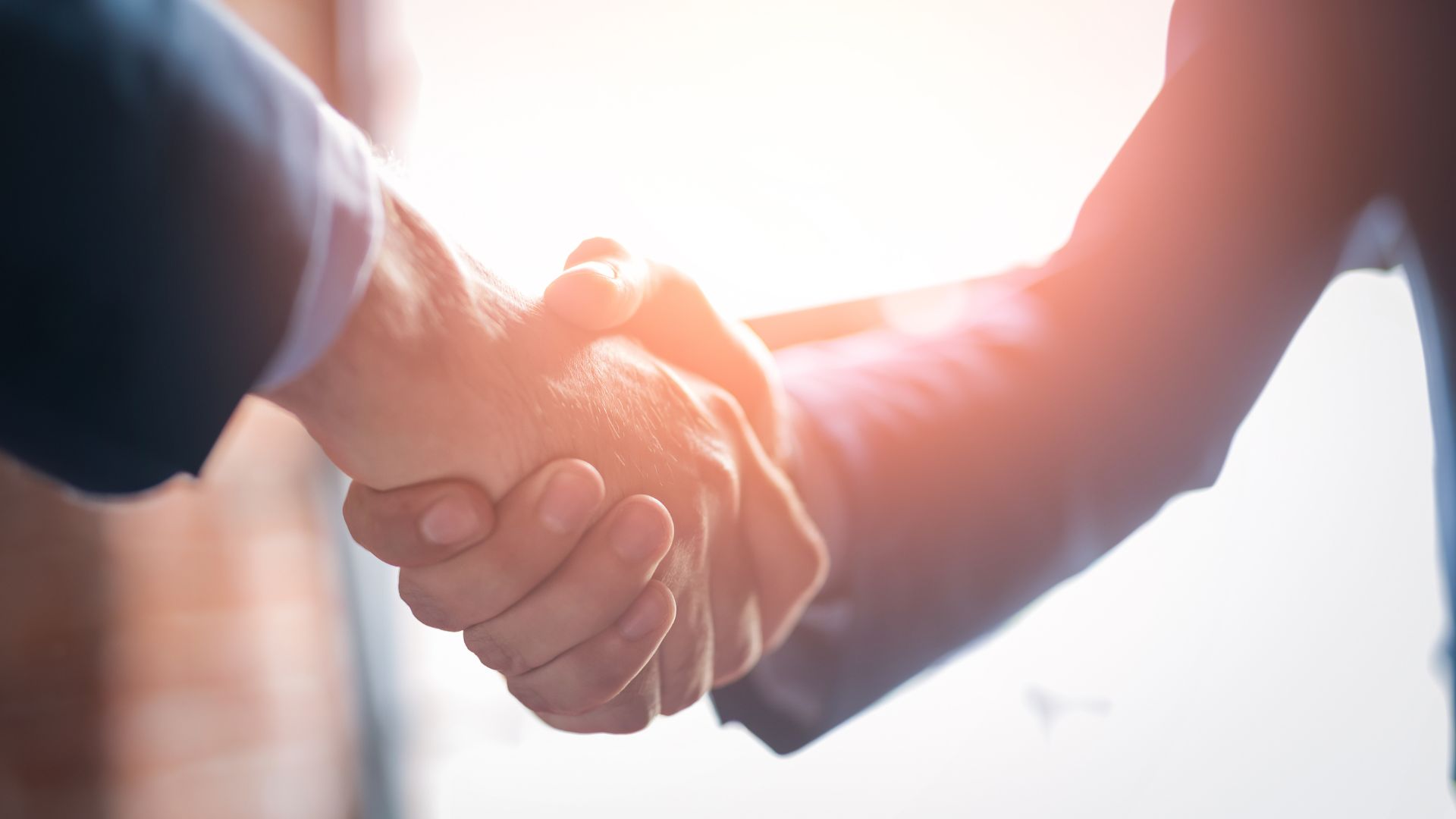 A handshake between two people.